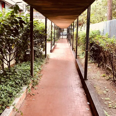 Magnolia Affittacamere Pescara